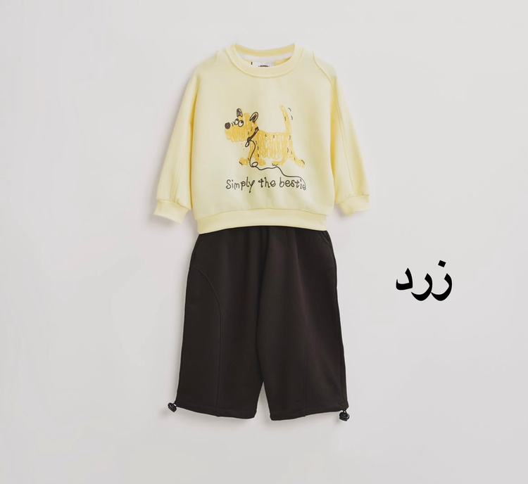 ست دو تیکه تو کرکی